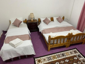 taila hostel